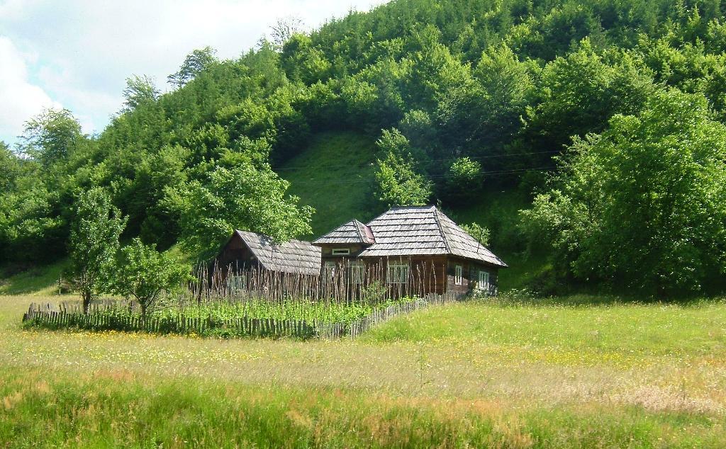 Typical rural dwelling in Moldavia